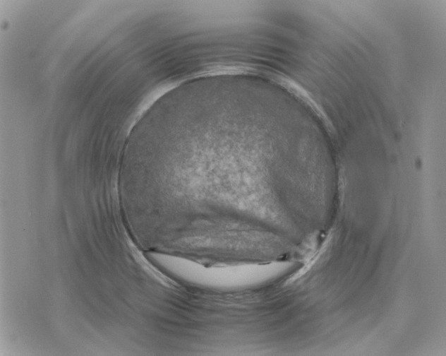 X0000075381417200609291539