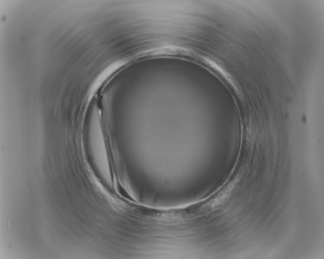 X0000075381418200609291539