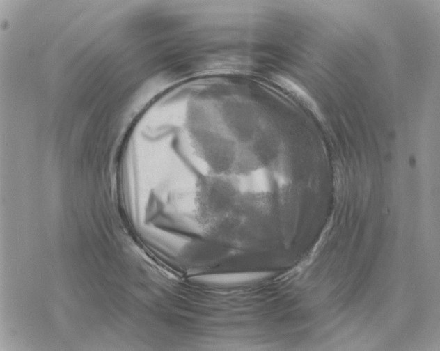 X0000075381419200609291539