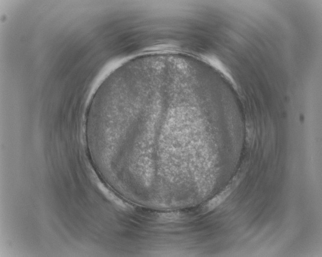 X0000075381421200609291540