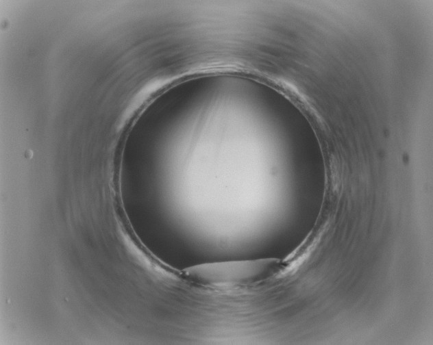 X0000075381422200609291540