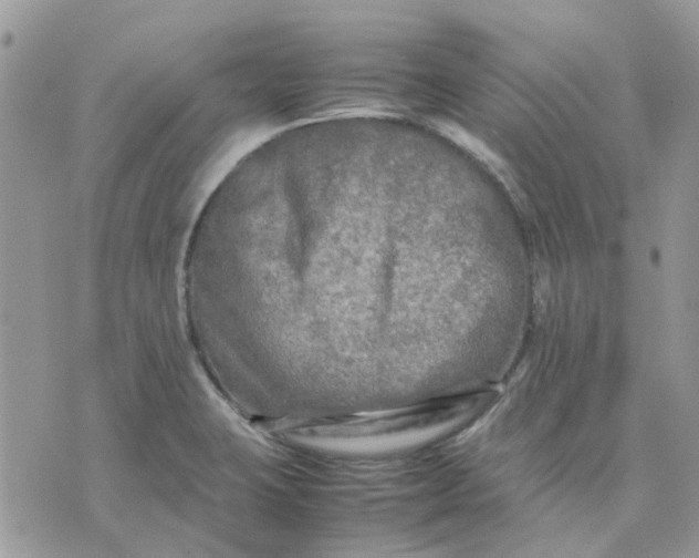 X0000075381423200609291540