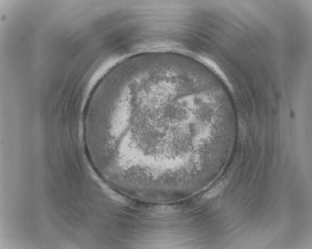 X0000075381424200609291540