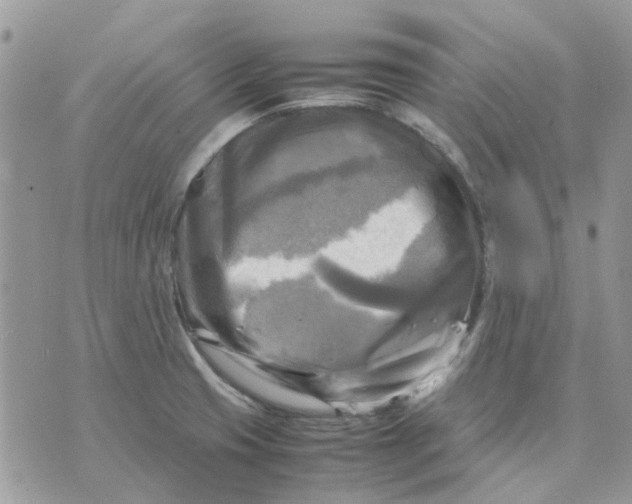 X0000075381425200609291540