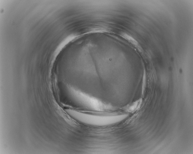 X0000075381427200609291540