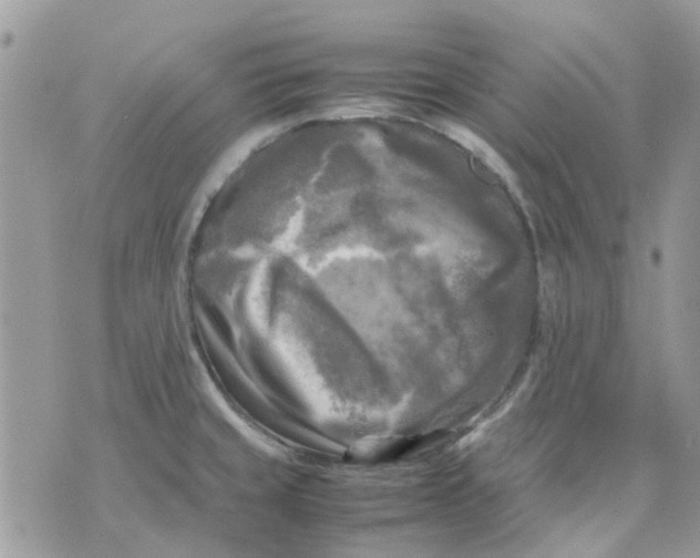 X0000075381429200609291540