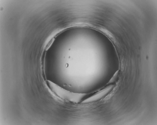 X0000075381430200609291540