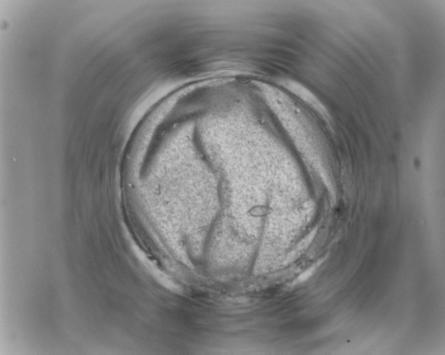 X0000075381431200609291540