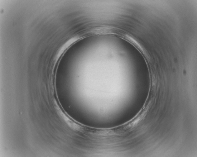 X0000075381434200609291540