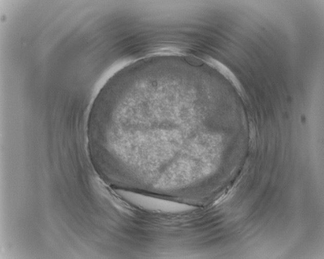 X0000075381435200609291540