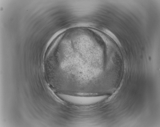 X0000075381436200609291540