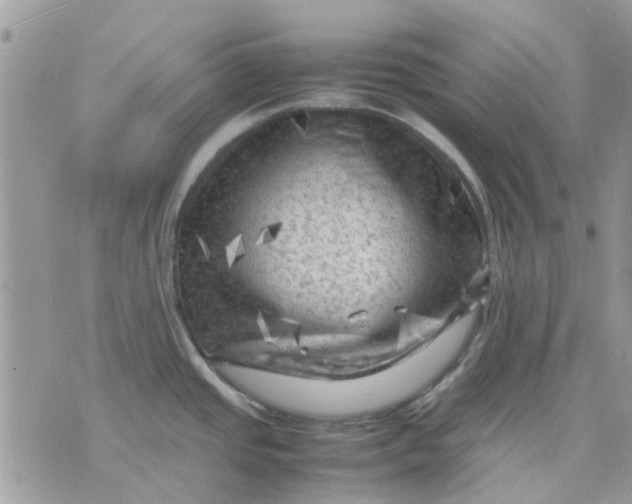 X0000075381437200609291540