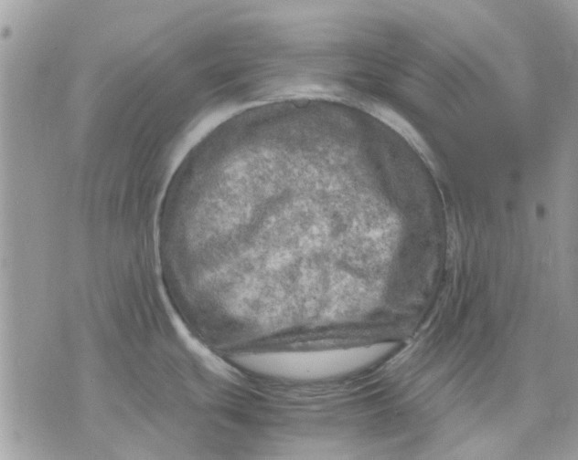 X0000075381439200609291540