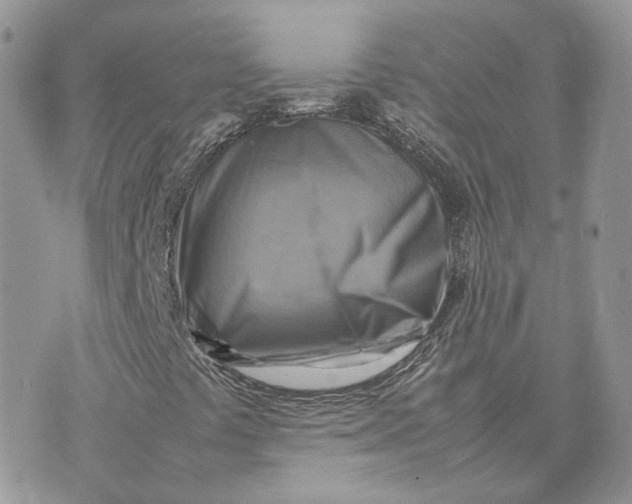 X0000075381441200609291539