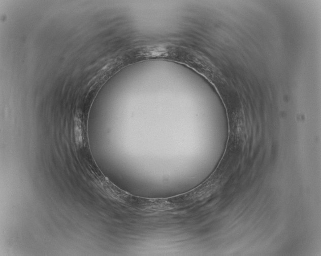 X0000075381442200609291539