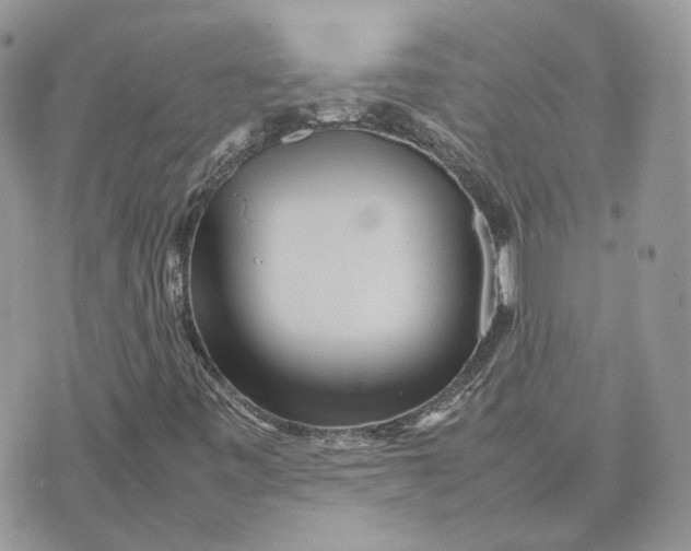 X0000075381443200609291539