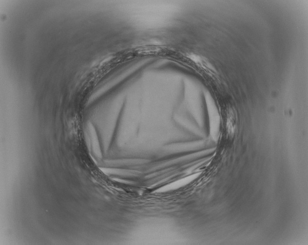 X0000075381445200609291539