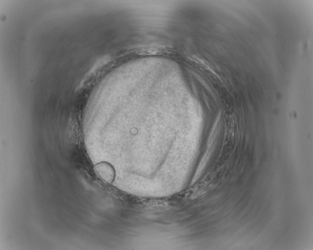 X0000075381446200609291539