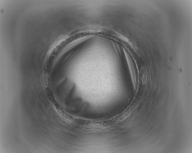 X0000075381448200609291539