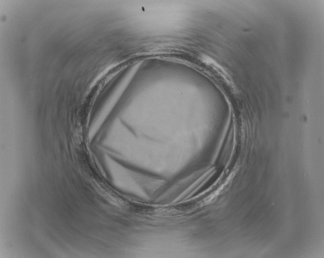 X0000075381449200609291539