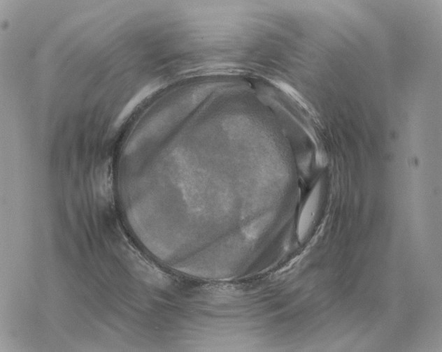 X0000075381450200609291539