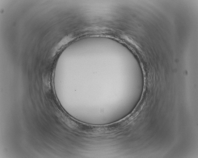 X0000075381451200609291539