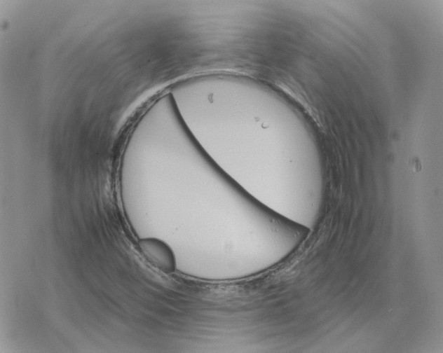 X0000075381452200609291539