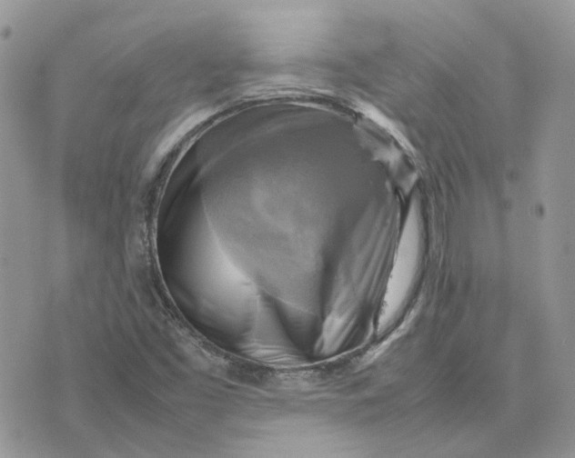 X0000075381453200609291539