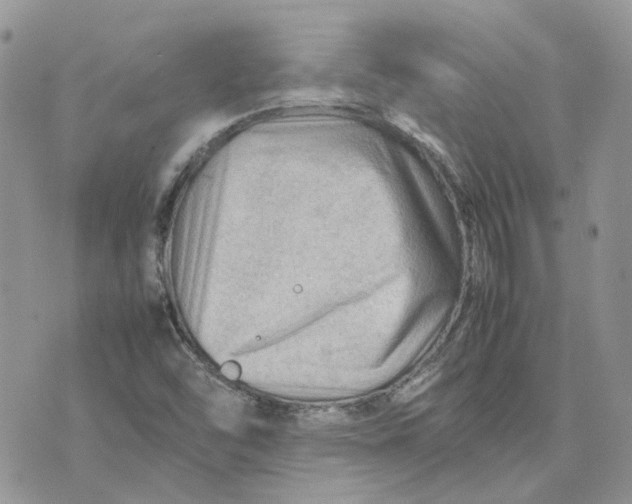 X0000075381454200609291539