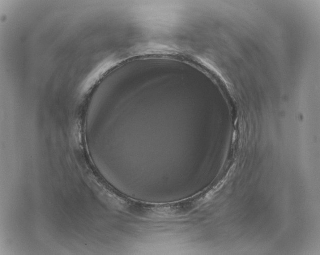 X0000075381455200609291539