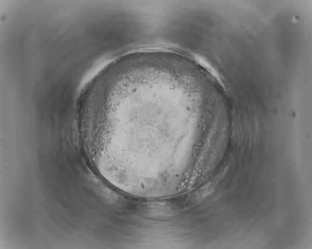 X0000075381456200609291539