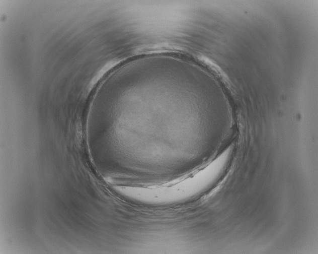 X0000075381457200609291539