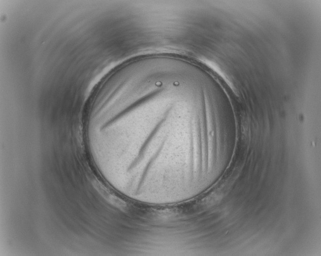 X0000075381460200609291539