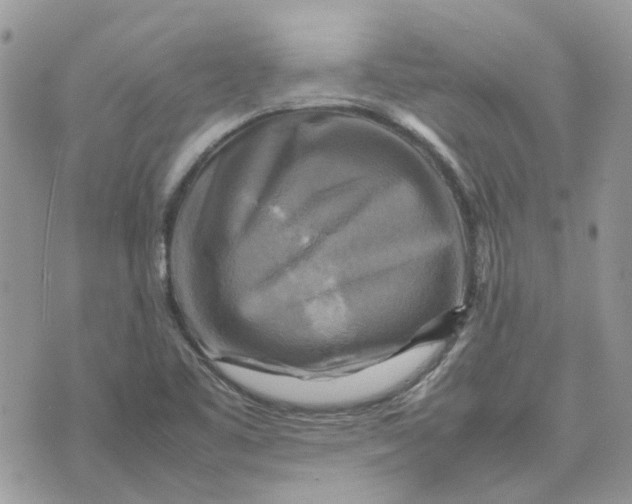 X0000075381461200609291539