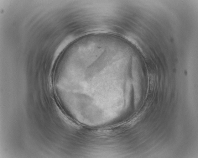 X0000075381466200609291539