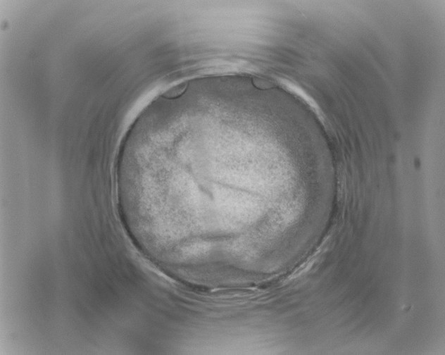 X0000075381467200609291539