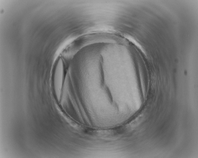 X0000075381469200609291539