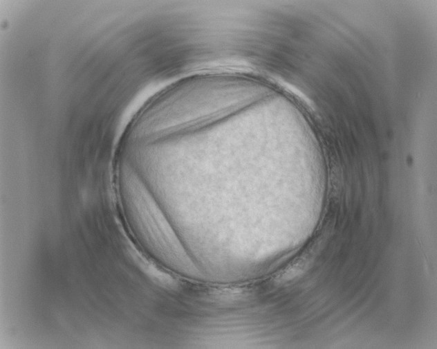 X0000075381470200609291539