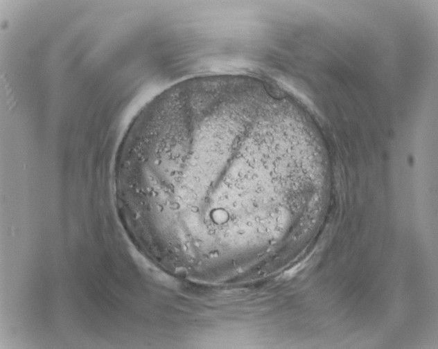 X0000075381471200609291539