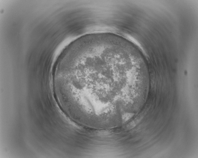 X0000075381472200609291539