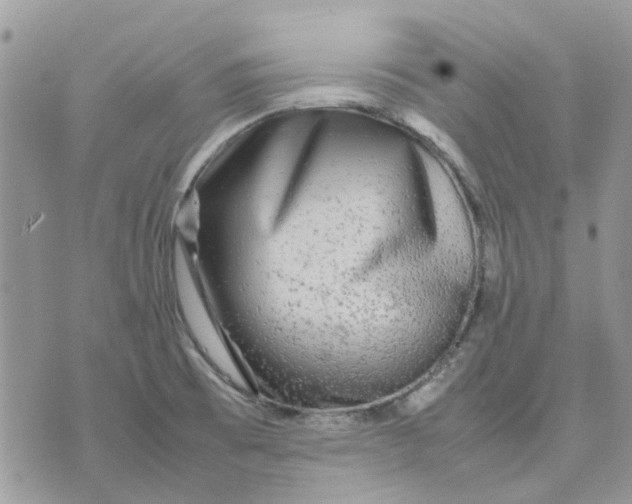 X0000075381473200609291539