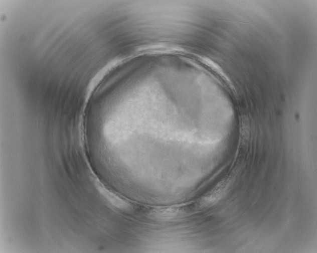 X0000075381474200609291539