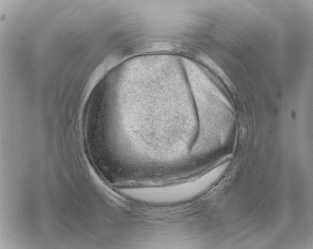 X0000075381475200609291539