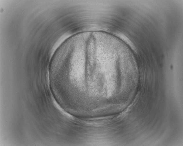 X0000075381476200609291538