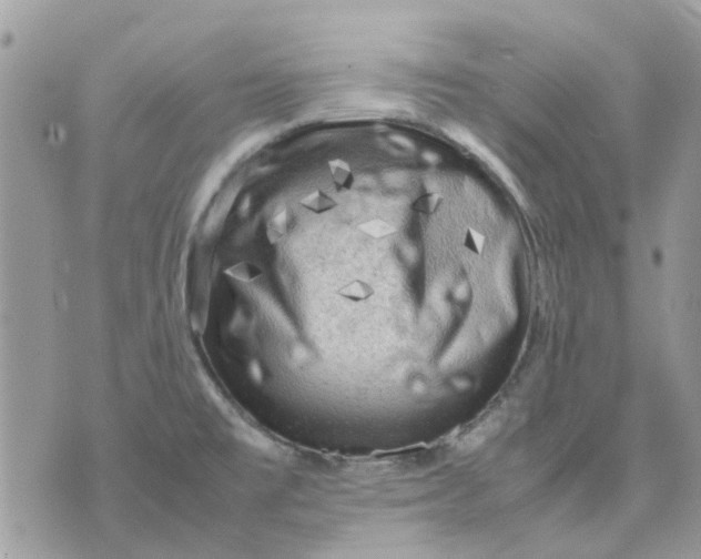 X0000075381477200609291538