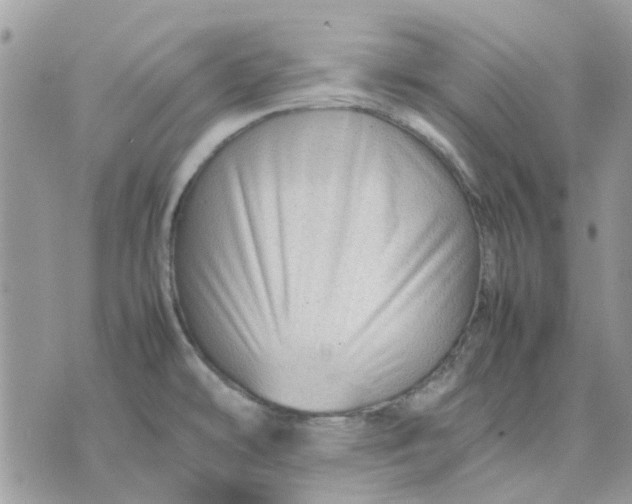 X0000075381478200609291538