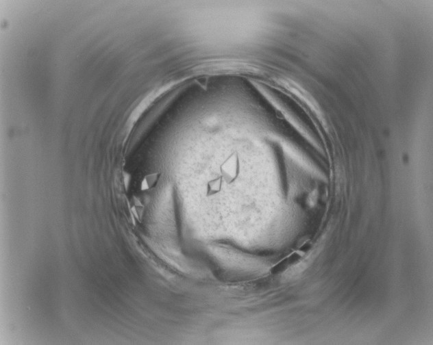 X0000075381481200609291538