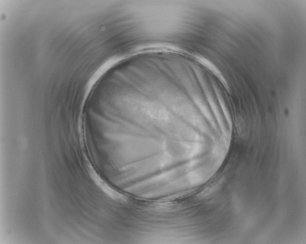 X0000075381482200609291538