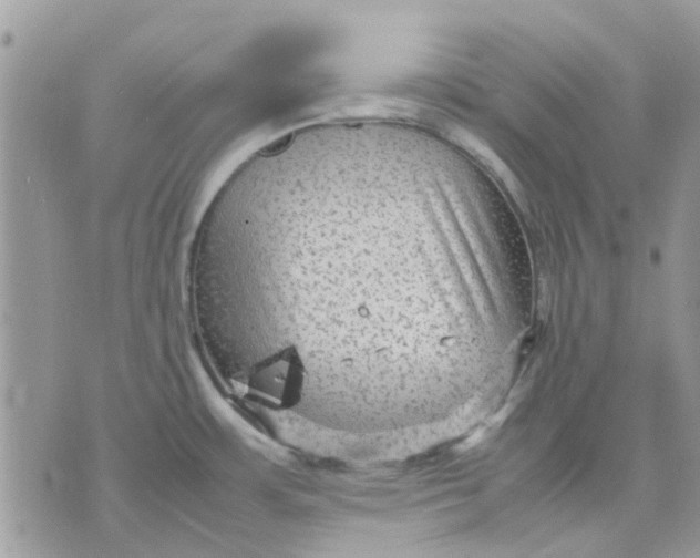 X0000075381483200609291538