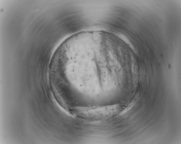 X0000075381484200609291538